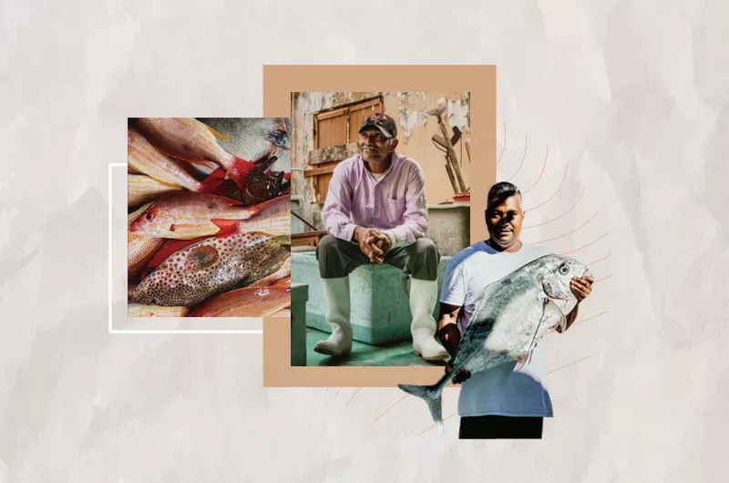 oceanos-mexicanos-diversidad