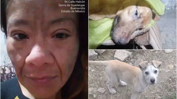 Diana Belén García Alfaro.jpg