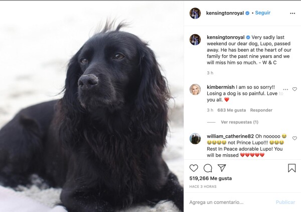 Lupo
