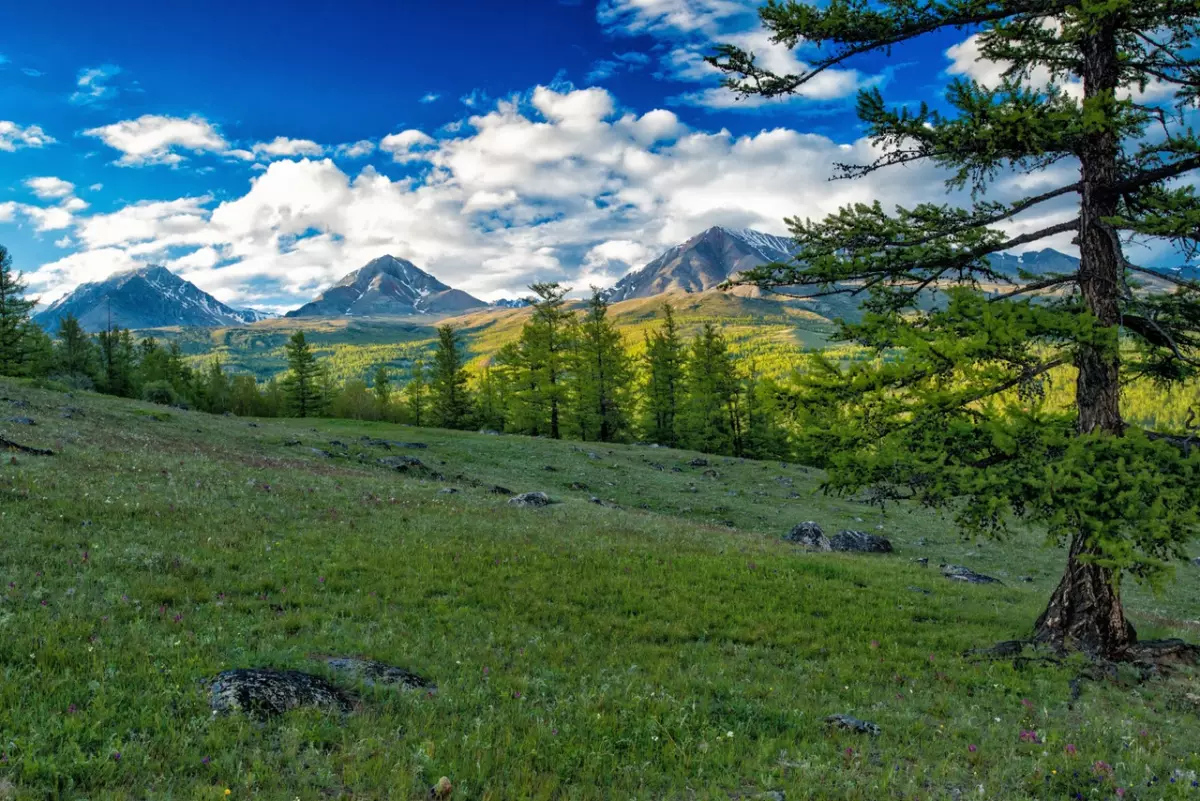 Mongolia