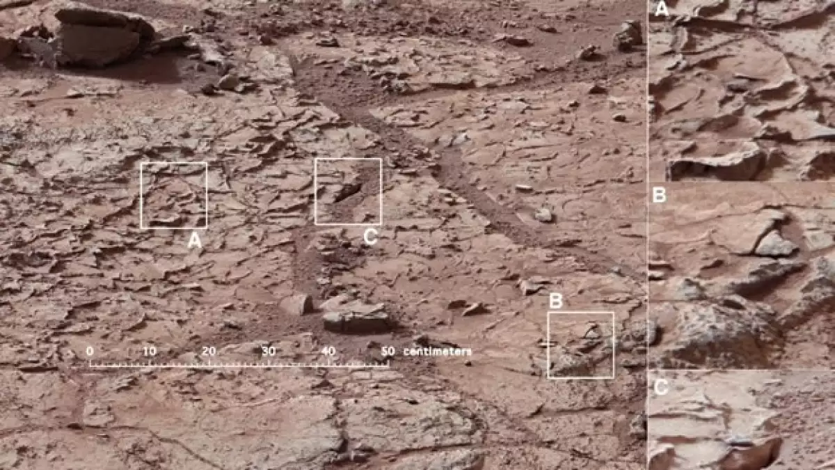 suelo de marte
