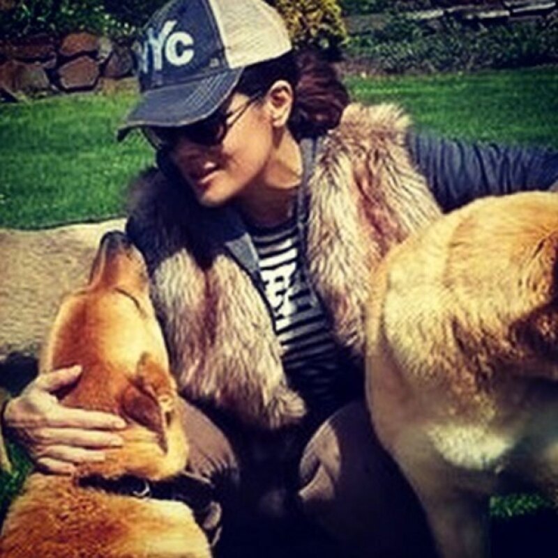 Salma acaba de perder a uno de sus perros.
