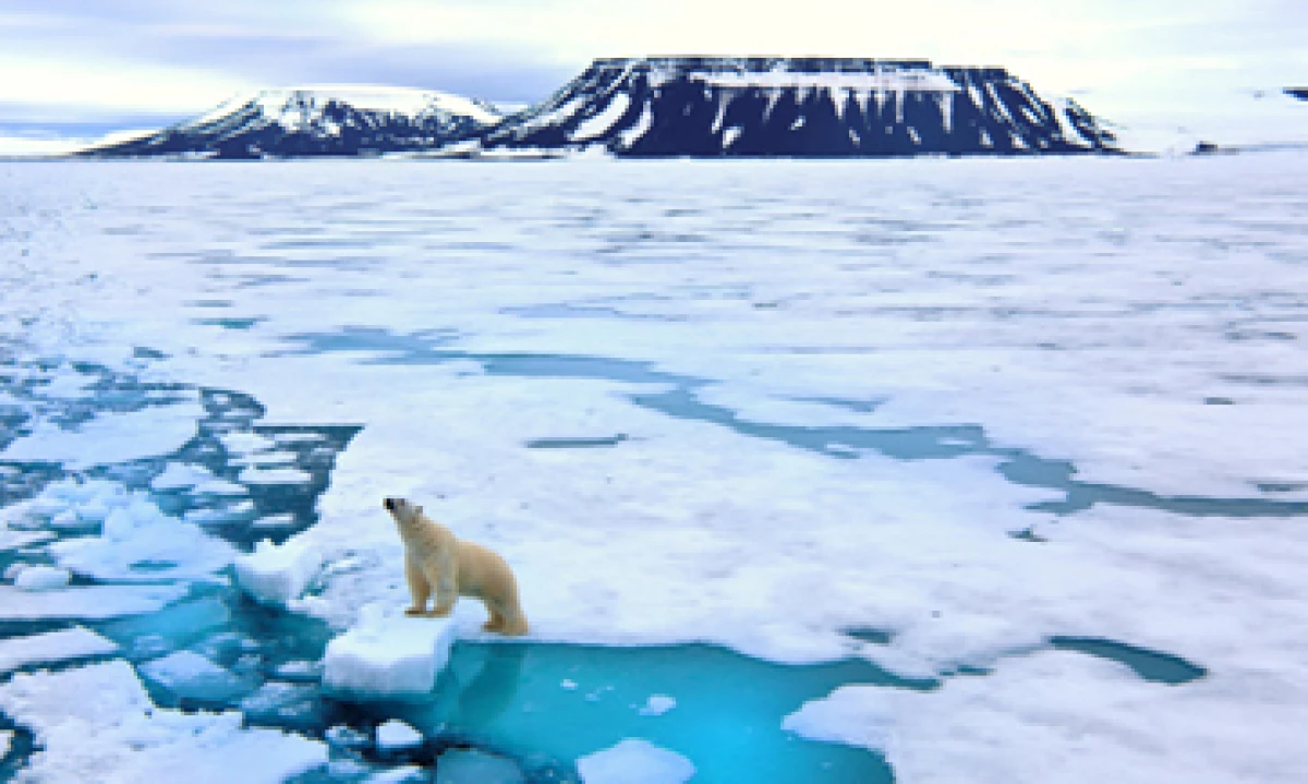 A nivel internacional, EU es visto como el chico malo del medio ambiente. (Foto: Getty Images)