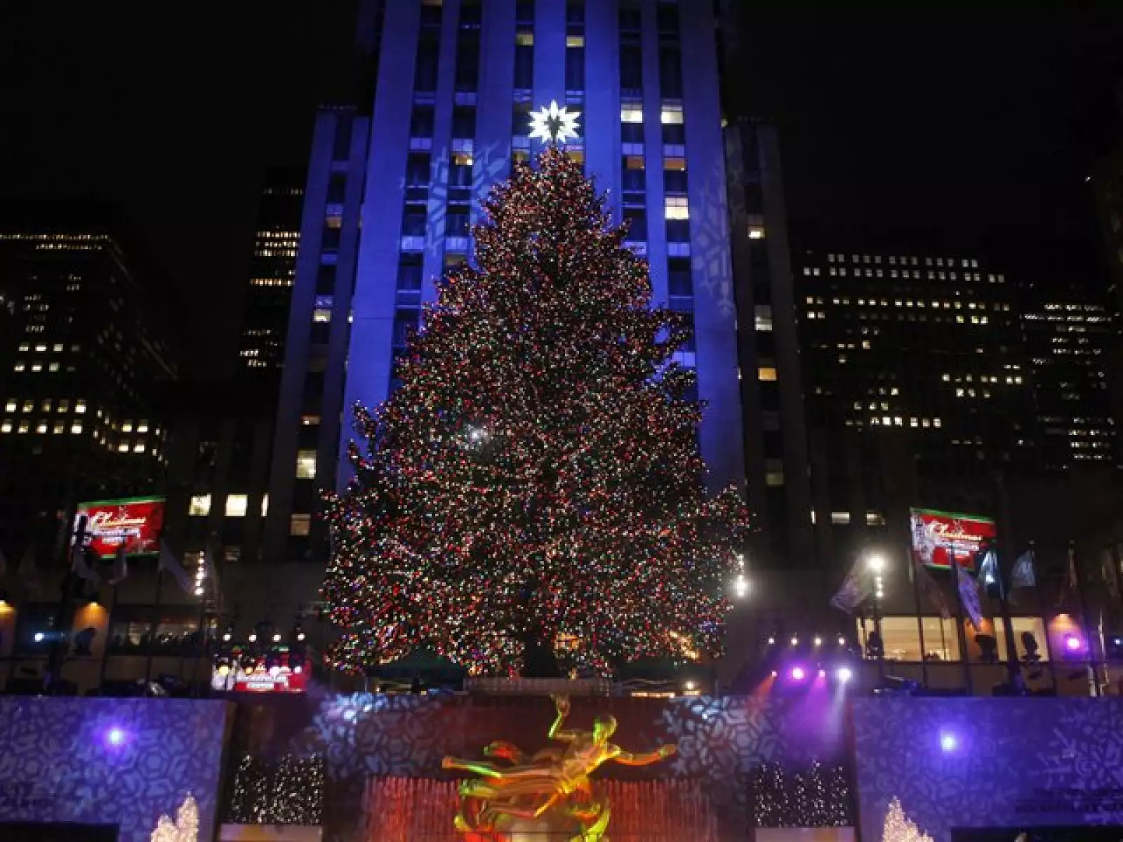 El arbol esta decorado por ´La estrella Swarovski´ fue creada por el aleman Michael Hammers.