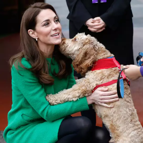 KATEperro.jpg