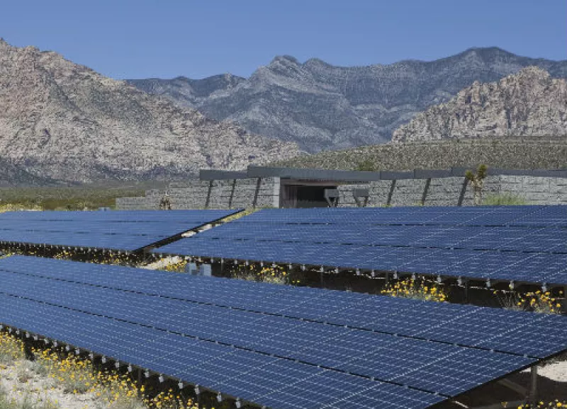 huerto solar semidesierto