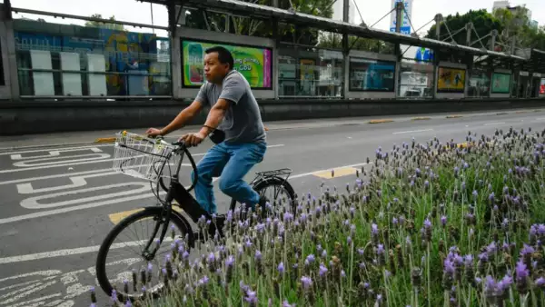 ciclovia-cdmx.jpg