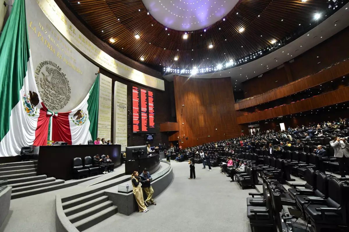 diputados