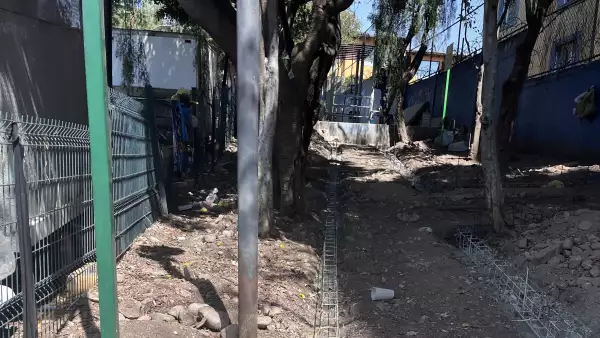 El árbol que a nadie le importo verlo morir