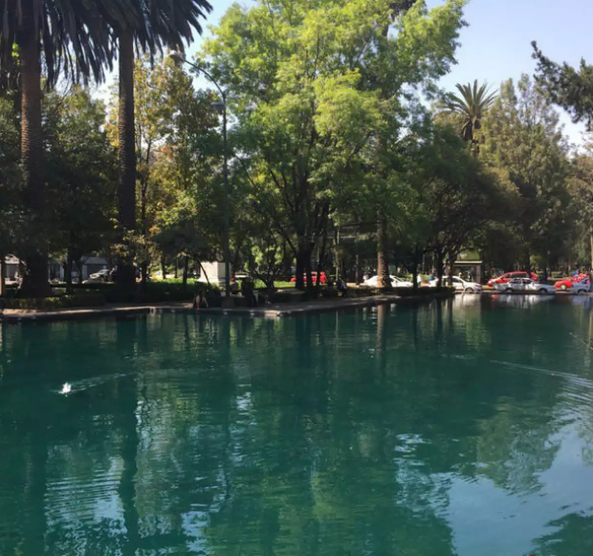 Eva se convirtió en una viajera asidua a la Ciudad de México desde su noviazgo con Bastón.