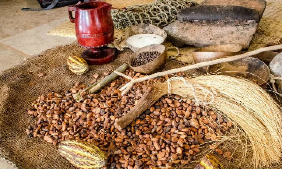 cacao