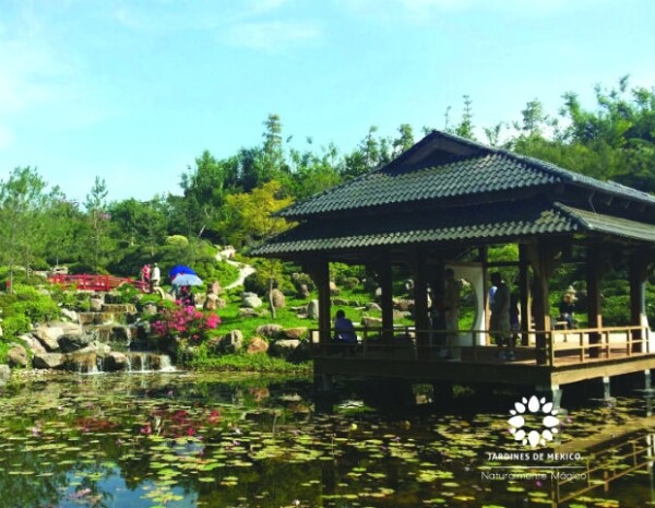 Una vista al jardín japonés, uno de los actractivos naturales que se encuentran dentro del parque.