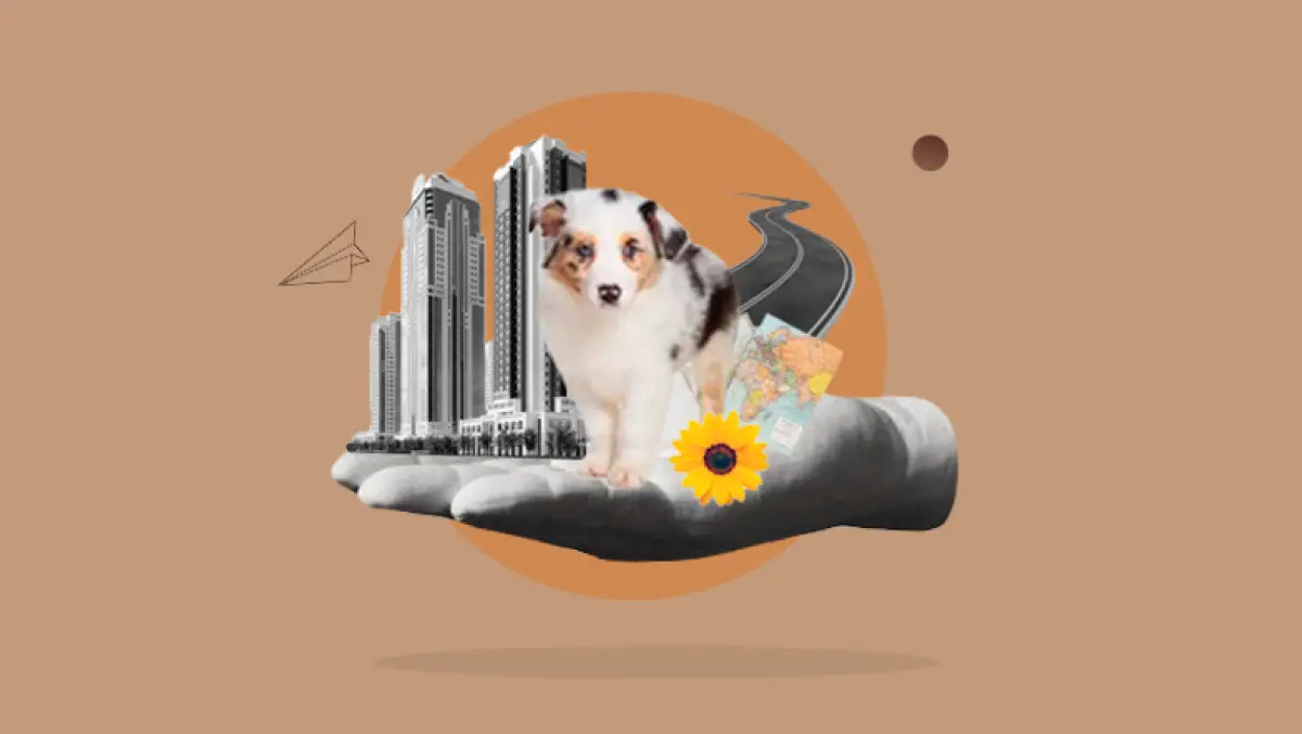 Perro