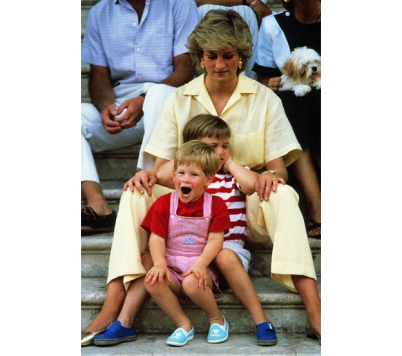 Su hermano, el príncipe Guillermo fue un gran apoyo para él cuando no era capaz de entender la separación de Carlos y Diana de Gales.