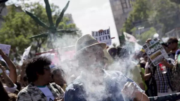 Marihuana