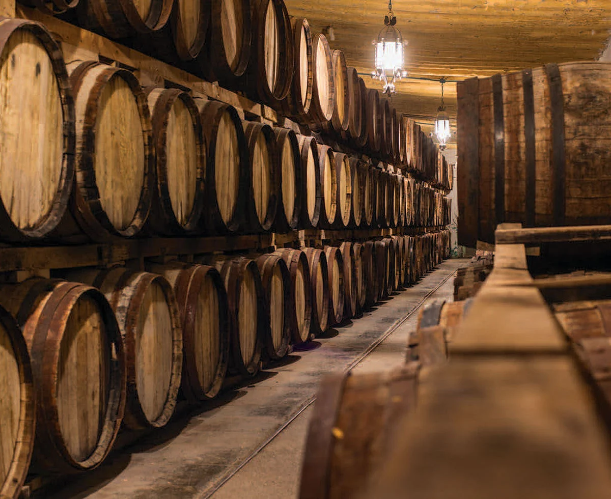 Bodegas de Casa Madero.
