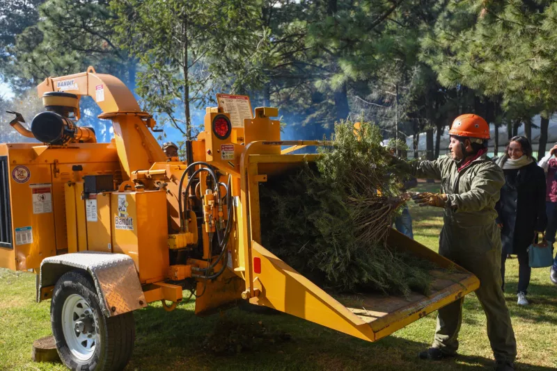 arbol-por-arbol-navidad-2025