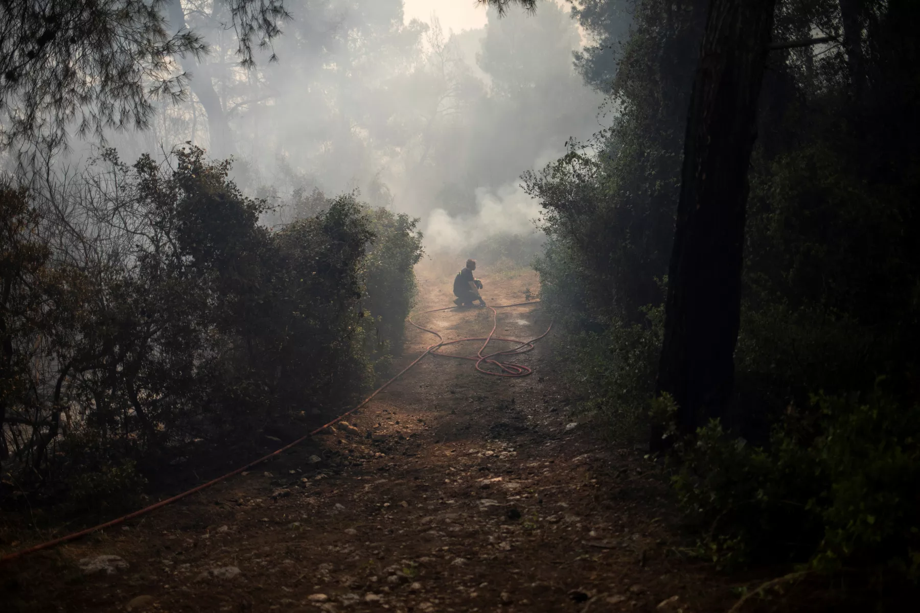 Incendios de verano