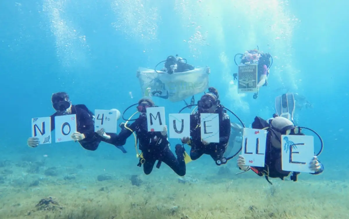 Activistas logran freno al cuarto muelle para cruceros&nbsp;en&nbsp;Cozumel, ¿por qué están en contra?