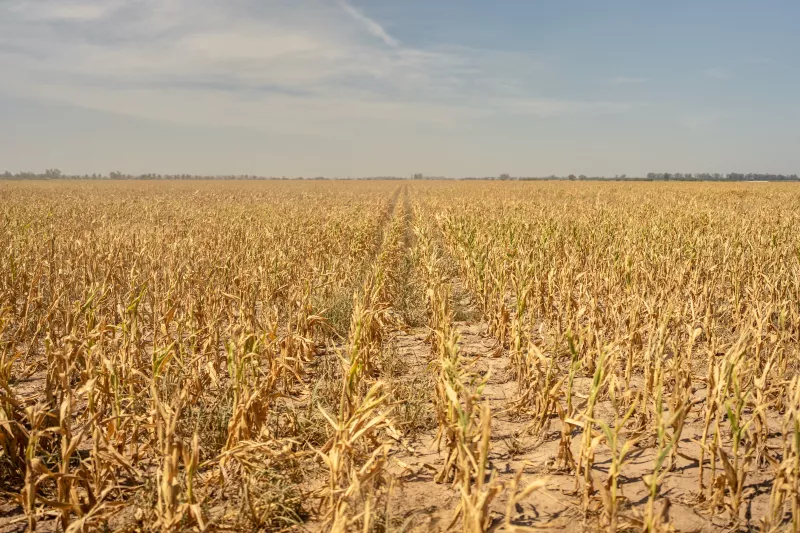 agricultura y cambio climatico