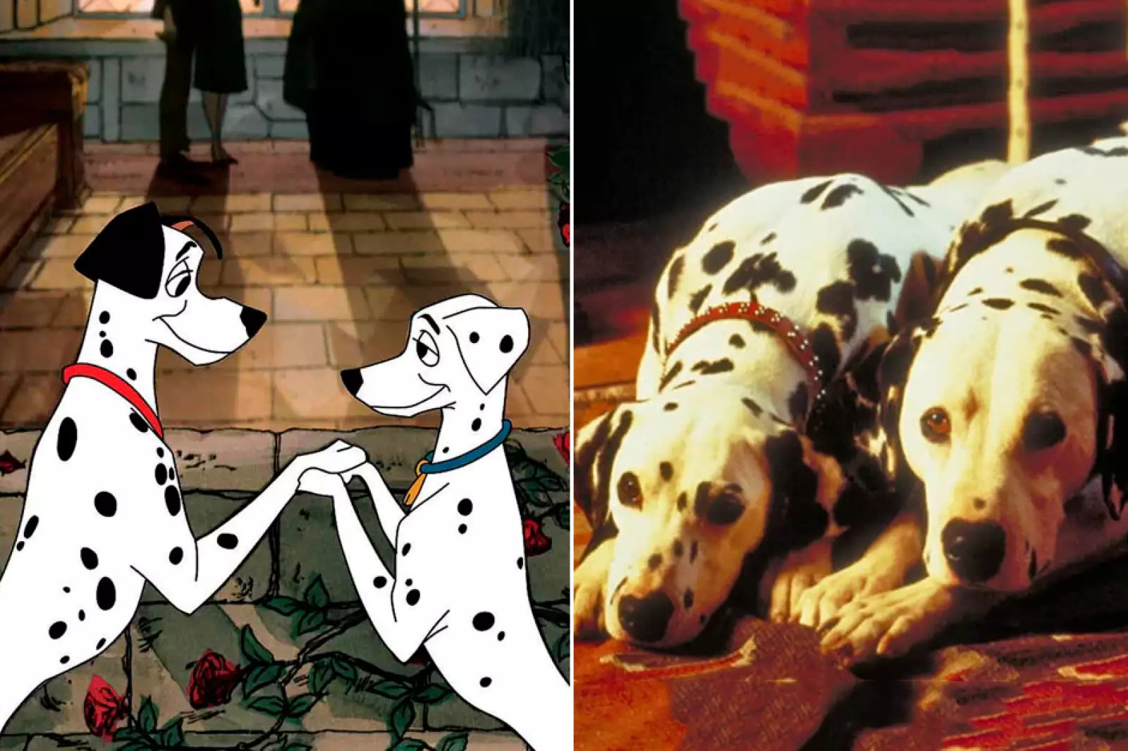 dia-mundial-perro-dalmatas