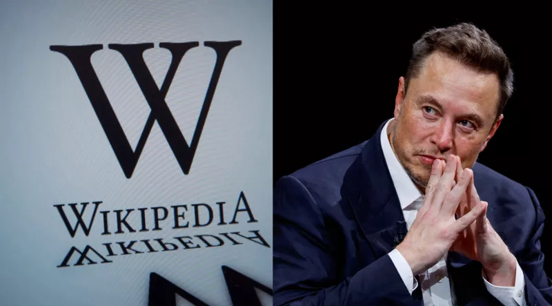 elon-musk-wikipedia.jpg