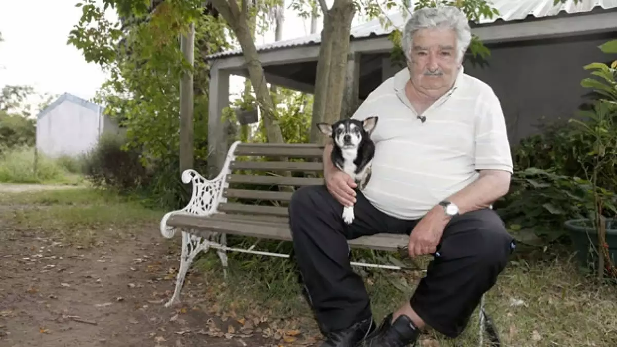 Mujica