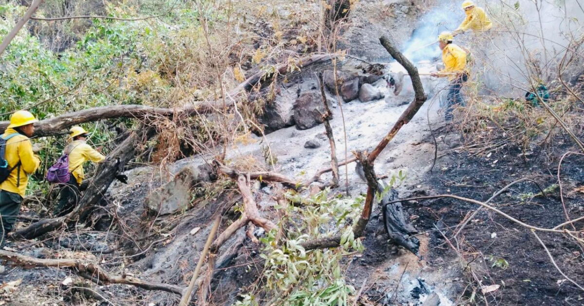 90% del incendio en el cerro del Tepozteco está controlado, reporta la ...