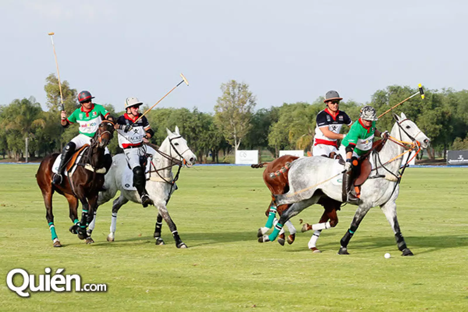 British polo day