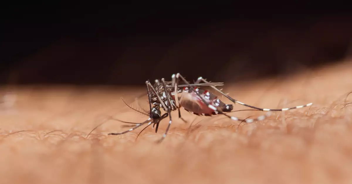 expansion-virus-chikungunya.jpg