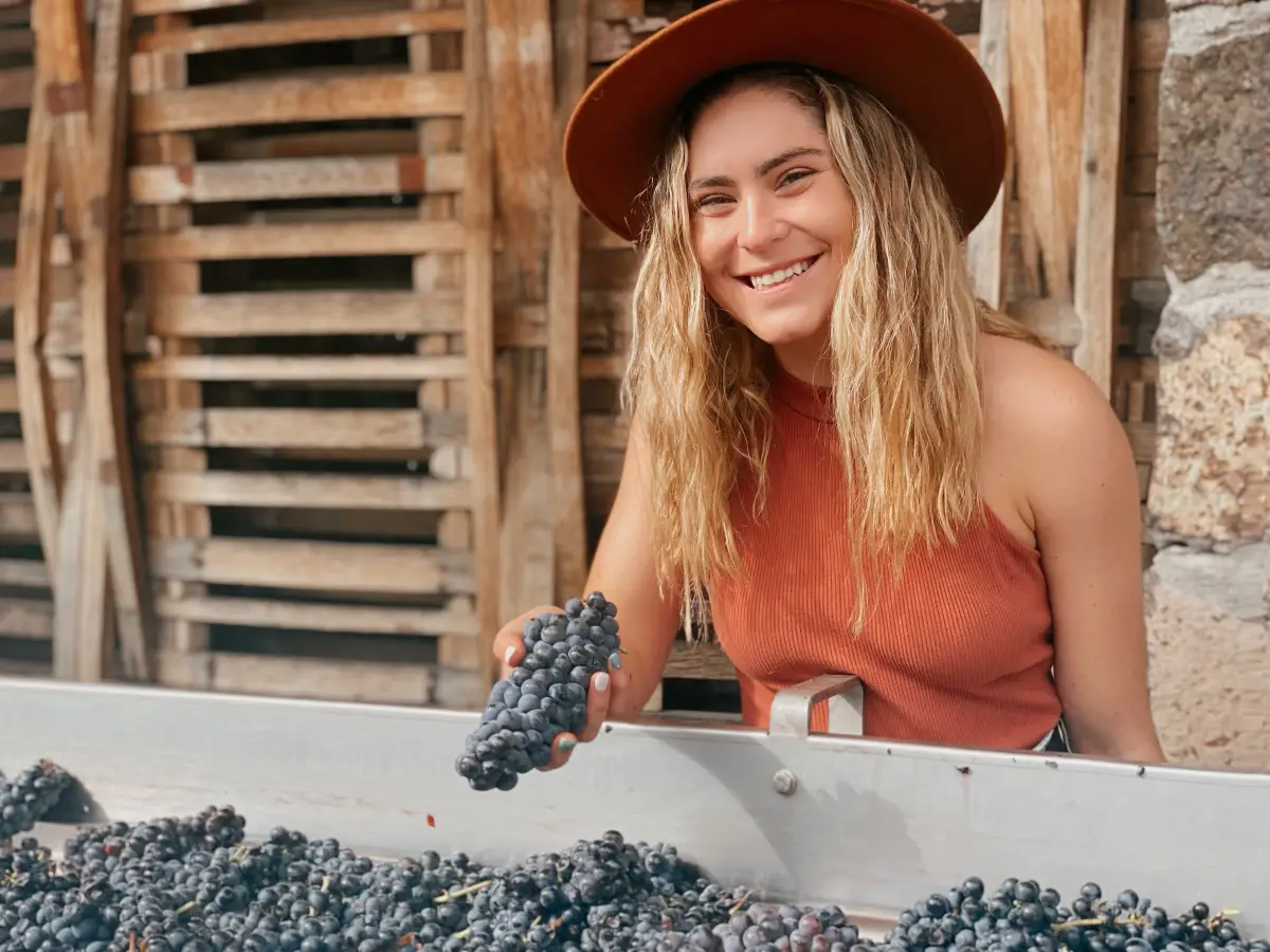 Claves para disfrutar una buena copa de vino 
