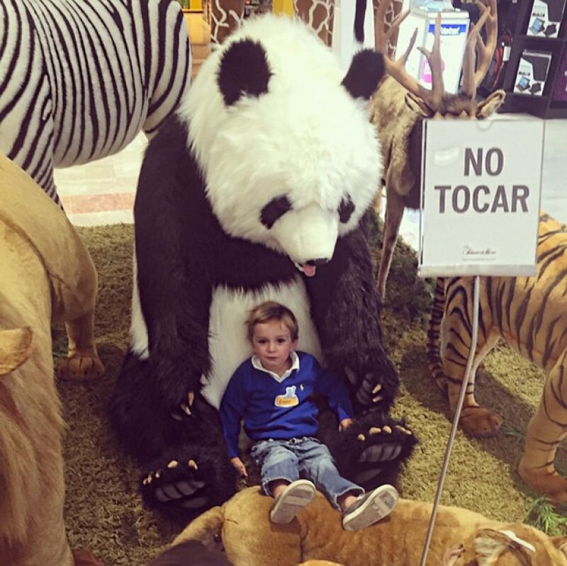 Rebelde sin causa, Bruno rompiendo las reglas sentado sobre un enorme panda de peluche.