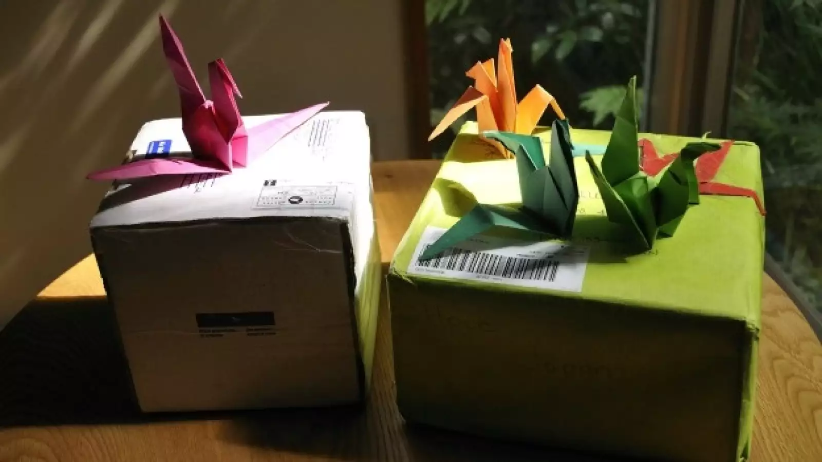 1000 grullas por la paz