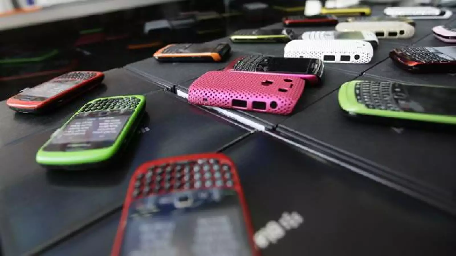 blackberry medio oriente