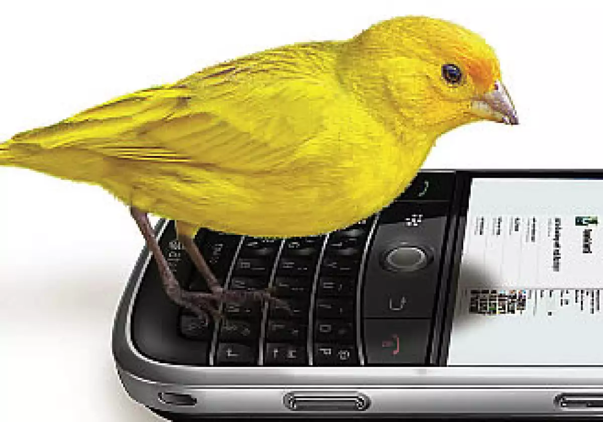 Twitter viene de tweet, que en inglés significa, literalmente, ‘piar’. (Foto: Especial)