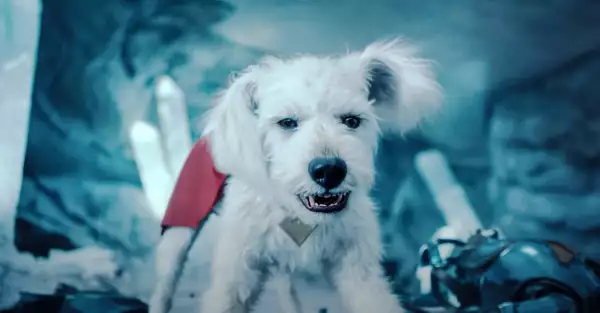 superman-perros-adopcion