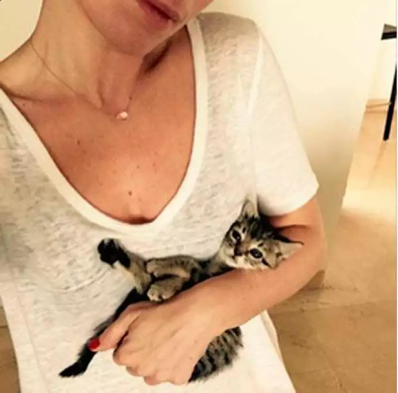 La actriz, que debutará próximamente en Telemundo, adoptó a un gatito de la calle, que fue bien recibido por sus mascotas.