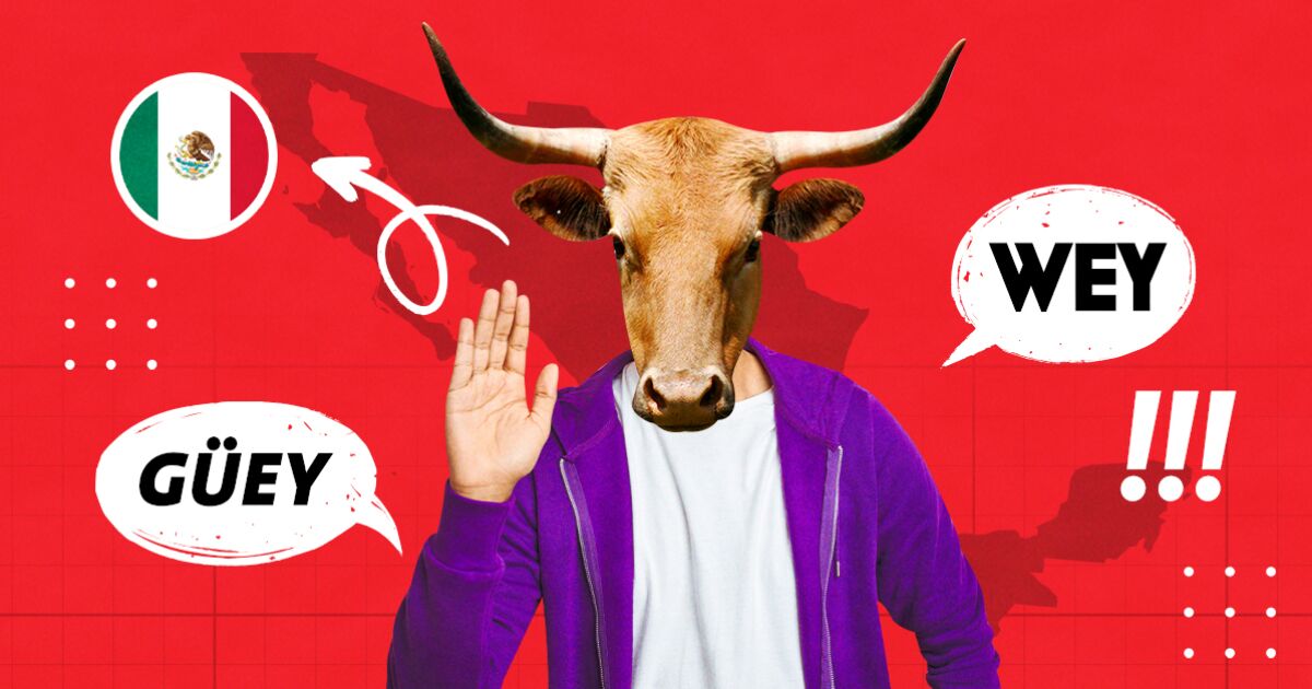 Meksika'daki 'güey' kelimesinin kökeni nedir?