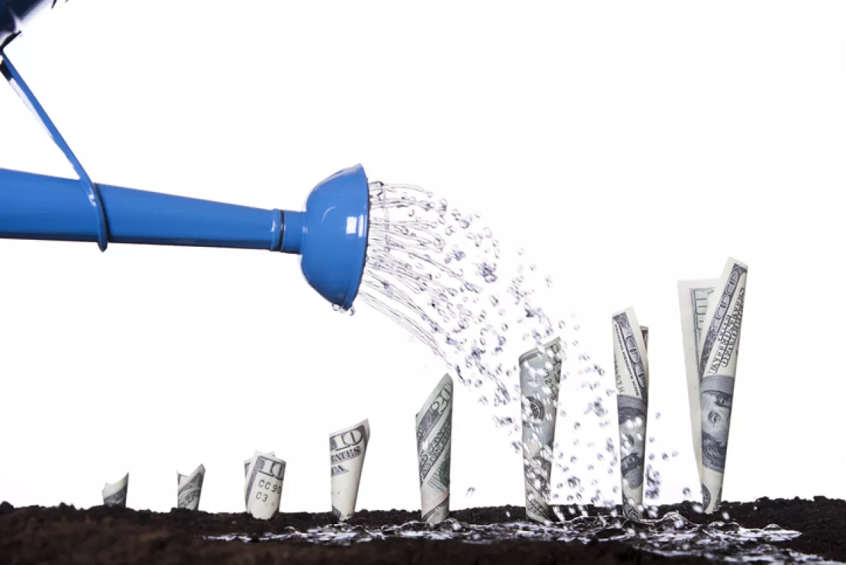 Watering Money to Make it Grow