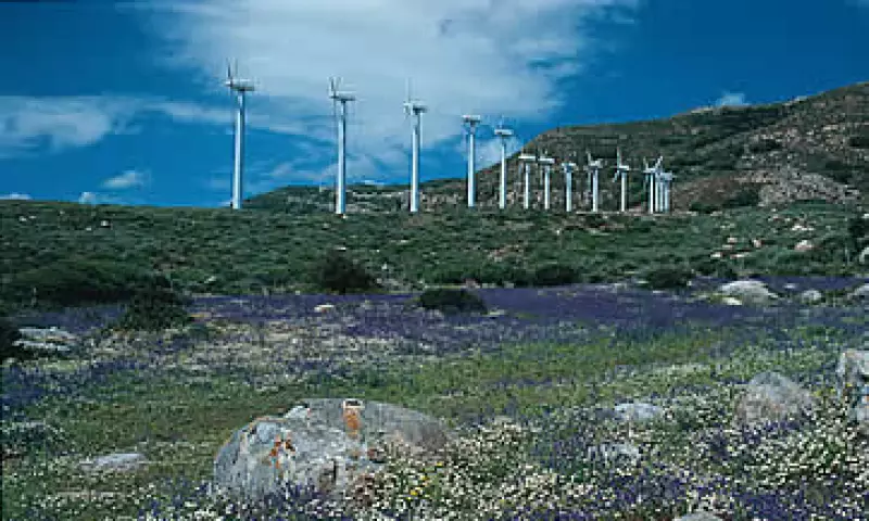Parque (Foto: Ewea)