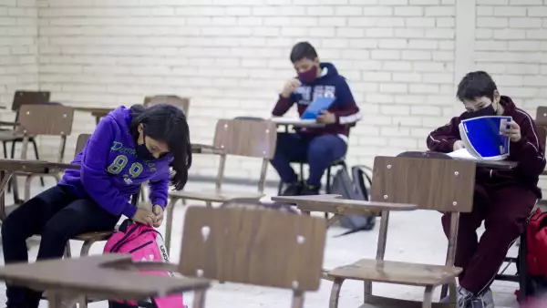 (Alumnos de educación básica en Nuevo León)