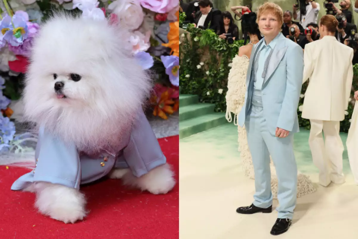 La Pet Gala: todos los perritos que recrearon looks de la Met Gala 2024