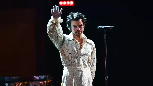 harry-styles- fan-pollo-vegetariano