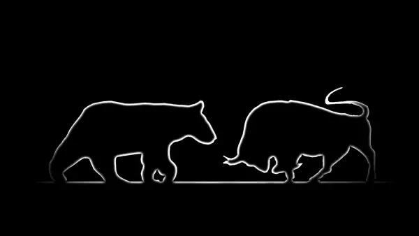 Forex: Bear and bull