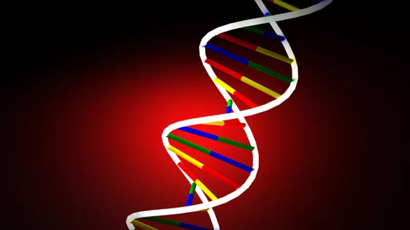 Los científicos dirigidos por Venter lograron secuencias ADN artificial