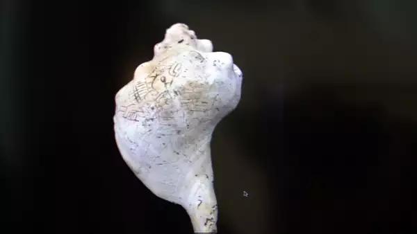 Algunos de los caracoles están grabados con motivos geométricos y personajes teotihuacanos.