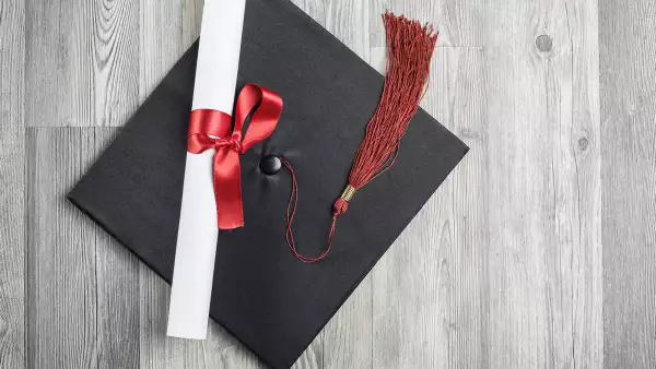 diploma educación