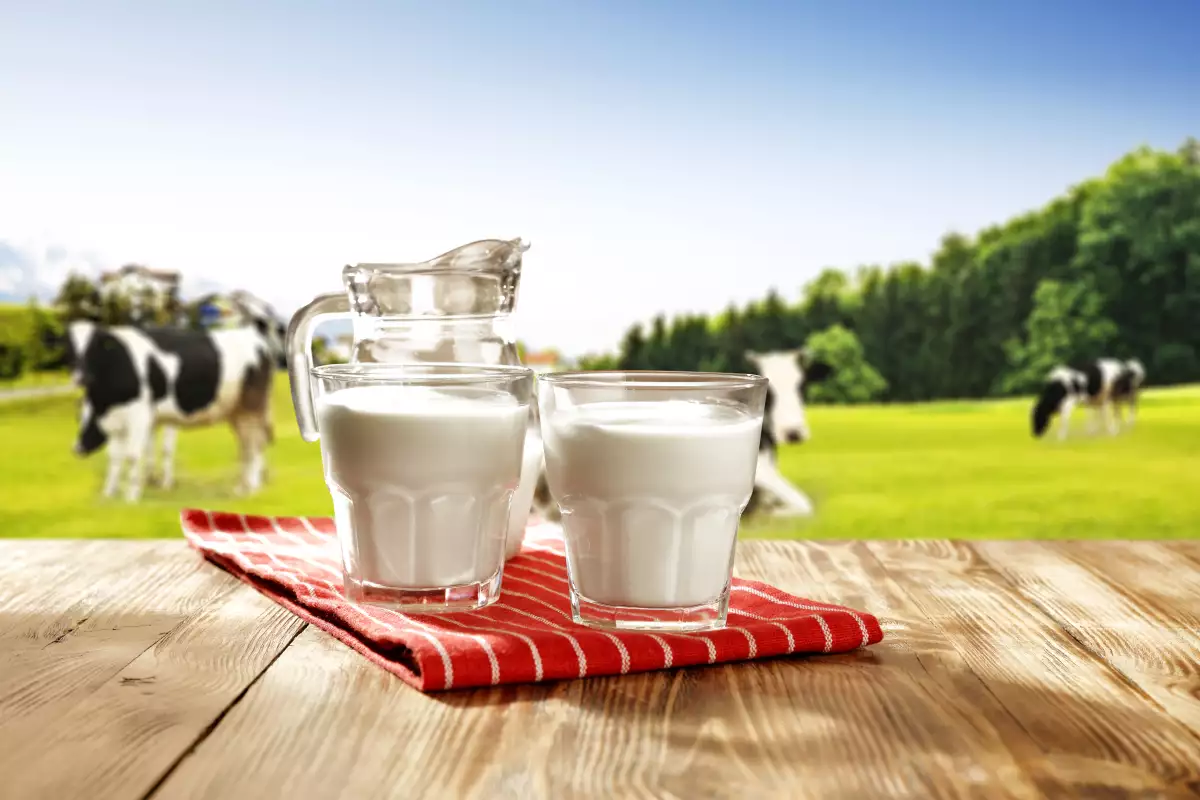 mercado de leche