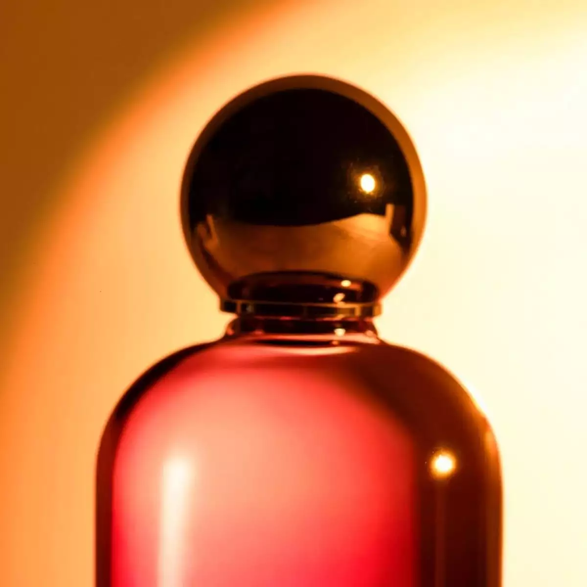 MUSE la nueva fragancia de K OS