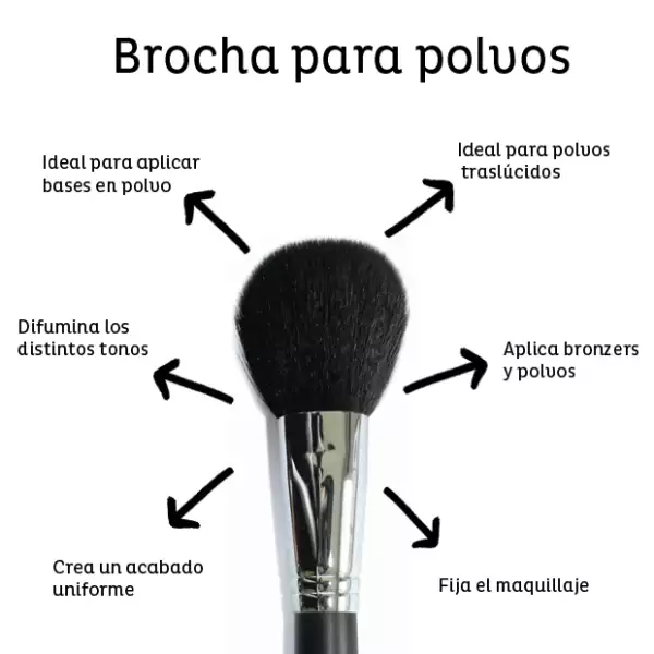 Brocha básica para aplicar polvos sueltos y blush.